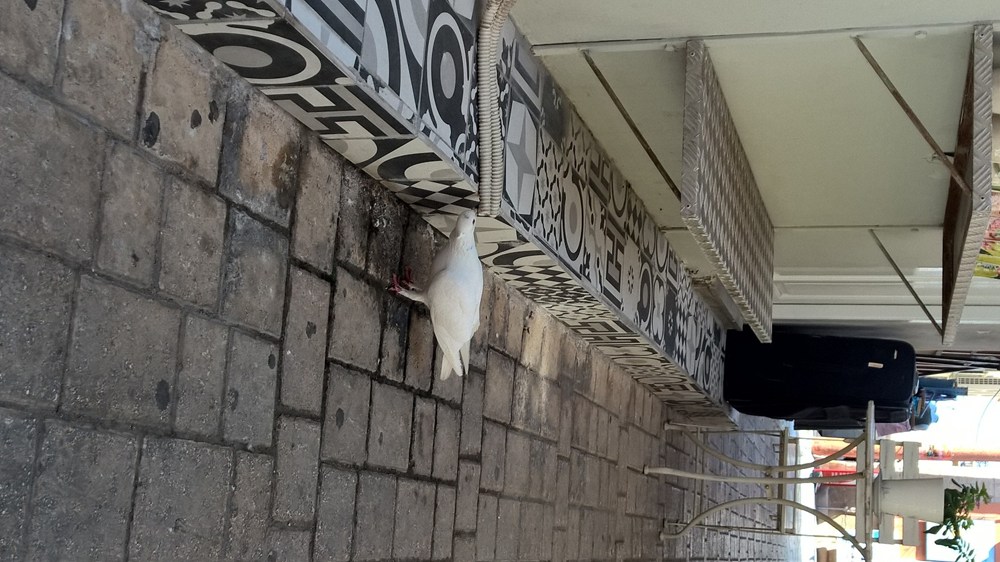 Ελλάδα – Άνθρωπος & Street view